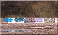 SK3489 : Graffiti revealed at the Former Site of Presto Tools, Penistone Road, Sheffield - 2 by Terry Robinson