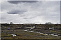 Boat and Railway Bridge at Erbusaig