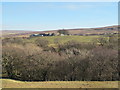 The valley of Hartley Burn around Halton Lea