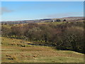 The valley of Hartley Burn west of Clover Hill