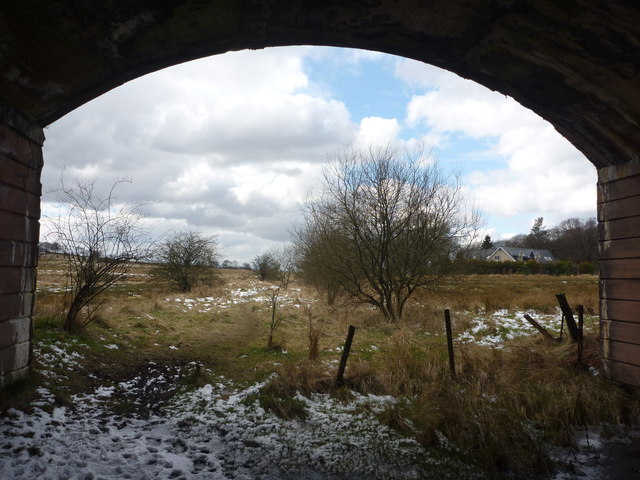 Rural East Renfrewshire : South From Uplawmoor Station