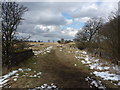 Northern East Ayrshire : Small Parapets South of Uplawmoor