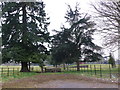 Entrance to Kingston Lacy Park