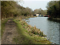 Grand Union Canal, Croxley Green