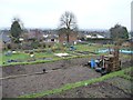 Allotments on the south side of Mount Hill Road