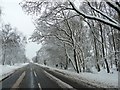 Snowy B4116 through Bentley Common