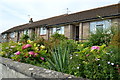 Pretty gardens in a side street