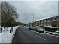 Lingering snow in Wakefords Way