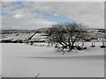 Carnanrancy Townland