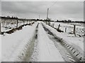 Snow along Morris Road