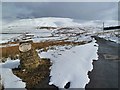 The farm road to Wester Kershope