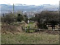 Lead Lane, Horsley, south of A69