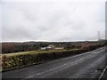 View of Gibside Chapel Farm