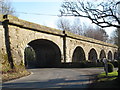 Burnstones Viaduct on the (former) Haltwhistle to Alston branch line (west side)