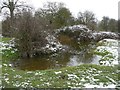 Pond at edge of motte and bailey site, Great Wymondley