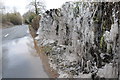 Hedge icicles