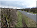 Gate and hedge along The Langtons