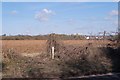 Farmland south of Andover