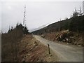 NN2804 : Logging road above Loch Long by Richard Webb