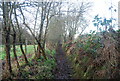 Muddy path near Derryswood House