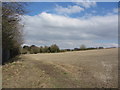 Footpath and field near Ashbury