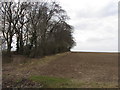SU2784 : Field boundary at Ashbury Folly by Gareth James