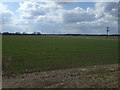 Farmland off North Moss Lane