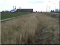 Dry drainage ditch beside Hobson Way