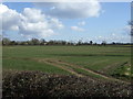 Farmland off College Road, East Halton