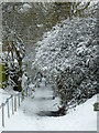 Footpath on Goldthorn Hill, Wolverhampton