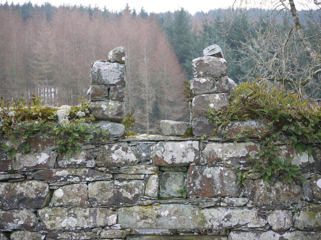 View to pine forest through ruined dormer window