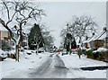 Late snow in Penn, Wolverhampton