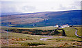 In Upper Teesdale below Grasshill Common