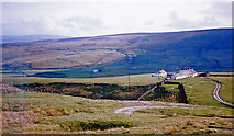 NY8233 : In Upper Teesdale below Grasshill Common by Ben Brooksbank