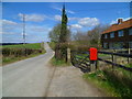 Road north from Avington Manor Farm