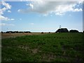 Farmland at Lodge Farm