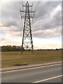 Pylons near Cronton