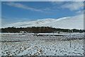 NN6278 : Drumochter View by Mary and Angus Hogg