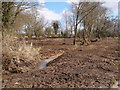 Pond clearance work