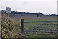 ST0220 : Mid Devon : Gate & Field by Lewis Clarke