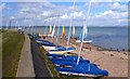 The Beach by the Sailing Club