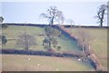 ST0118 : Mid Devon : Countryside Scenery by Lewis Clarke