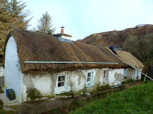Thatching in Carricknagore