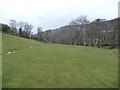 Riverside pastures near Cwmyoy