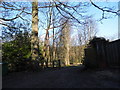 The entrance to Upfolds Farm, Holmbury St Mary