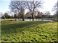 The pond at Forest Green