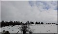 Snowdrifts near Cargan