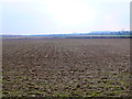 Fields near Witchampton