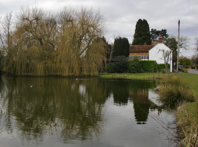 The village pond, Coleshill