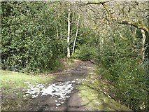 SD9926 : Hebden Royd Footpath 45 north of Wood Hey Lane by Humphrey Bolton